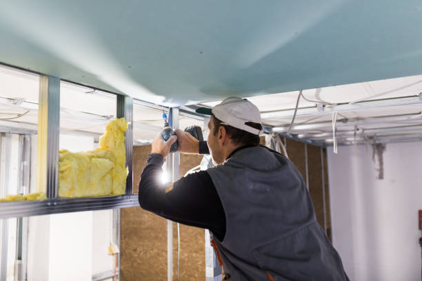 Best Geographic-Specific Insulation Services in Springfield, FL