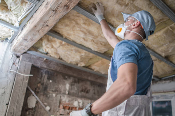 Best Spray Foam Insulation in Springfield, FL