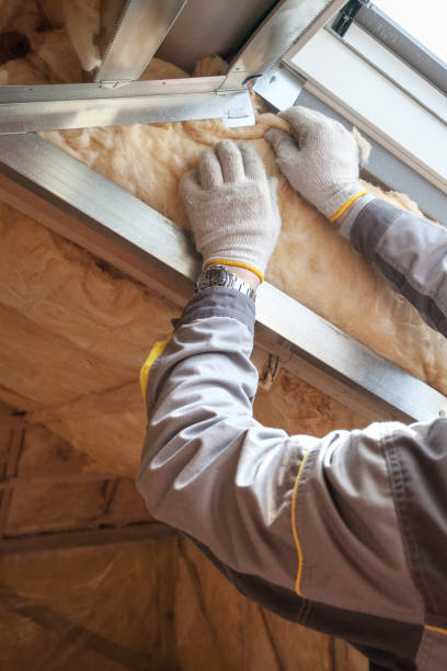 Best Residential Insulation in Springfield, FL
