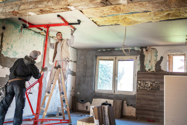 Best Blown-in Insulation in Springfield, FL