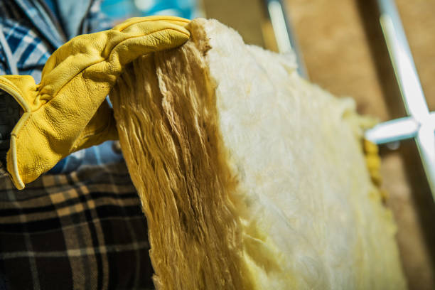 Best Cellulose Insulation in Springfield, FL