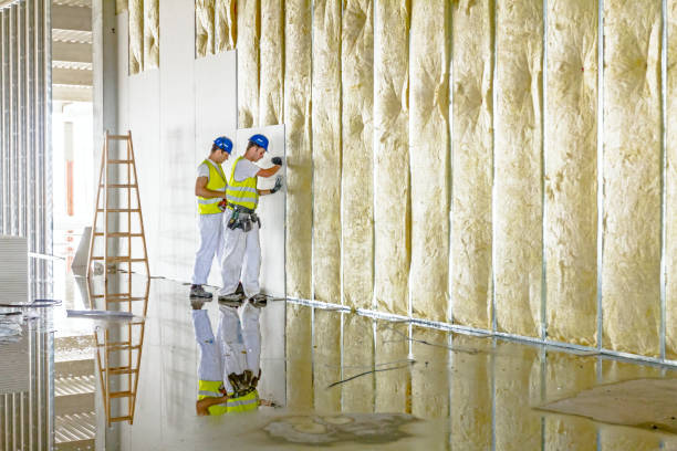 Best DIY Insulation Kits and Guidance in Springfield, FL